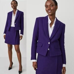 Ann Taylor Midnight Mulberry Blazer Preppy Statement Chic Purple Jacket Size 12